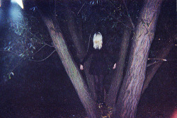 zepcok.tumblr.com/post/3283076500/