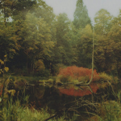 zepcok.tumblr.com/post/3293827172/