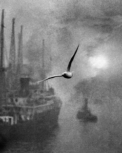 Early Morning on the Thames, London photo by Bill Brandt, 1939via: