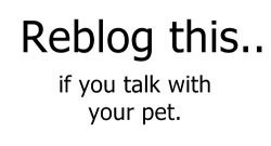 barnaboob:  keithinchains:  I think I talk with my cat more then