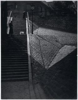 yama-bato:  Escalier de la butte Montmartre au chien blanc Description :