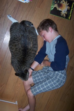 @AdorableBipolar  ofallthehappy:  LOL WTF THE CAT IS HUGE! Source