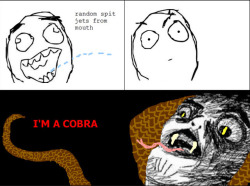 icantumblrtoo:  doitdean:  gpoy.  i am the king cobra because