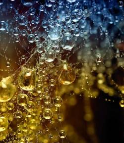 petitpoulailler:  etherian: Magical Waterdrops via Smashing