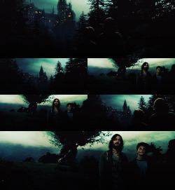 pureblood-:  Top 10 favorite Harry Potter scenes.  Sirius Black:
