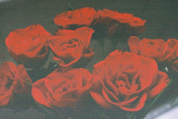 zepcok.tumblr.com/post/3772065243/