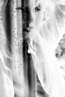 The Erotic Lightbox