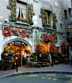  Flower shop in Annecy  | via aworldofwhatever : ysvoice :