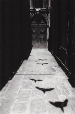 yama-bato:  Ikko Narahara Venezia, 1964 (from the series: ‘Where