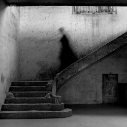 feromona:  Gary Descending Staircase, Parc de Sceaux, Rodney