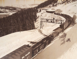 Winter Scene with Train massive (213cm*305cm) mural for the Department