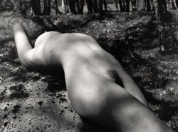 billyjane:  Nude In Wood Series,No 1, 1985  by John Swannell [see No