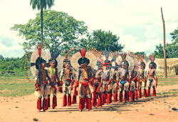 nativebeautyway:the beautiful Karajá men of Fontoura during