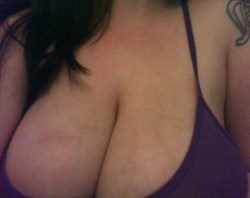 bigtitsnewstoplesstits:  @Cali_Diva #tittytuesday :you are the
