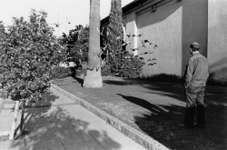 Santa Barbara, CA photo by Henry Wessel; California and the West