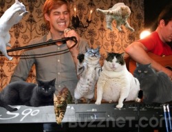 andrewandcats:  Just helping with the jam sesh.. 