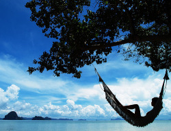 sunsurfer:   Silhouette Hammock, Maui, Hawaii photo from larryjw