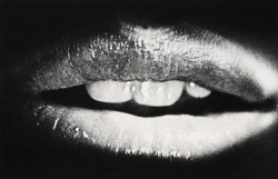 Halo photo by Daido Moriyama, 1976