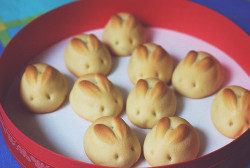 loveisalice:  bunny buns? 