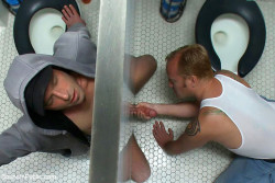 gloryhollelujah:  under stall action….hot 