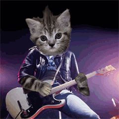 i know its been way more titties than kitties recently but i'll