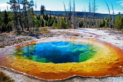  Morning glory pool Morning glory pool is considered the most
