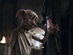 Dobby está livre