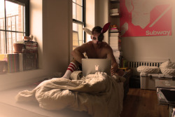 Brooklyn Bunny *Goldycox’s Apartment - Alexander Guerra