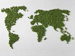 mr-derp-herpin:  World Peas   LOL THE PICC