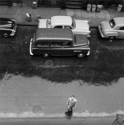 Eliot Porter, NY photo by Ellen Auerbach, 1955