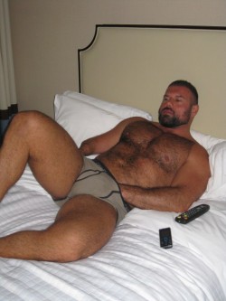 superbears:  MUSKY BEAR CROTCH.. 