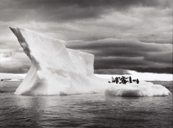 Icebergs near Paulet Island, Antarctica photo by Sebastiäo Salgado;