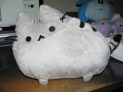 pusheen is here