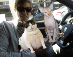 andrewandcats:  Jus hangin wif r frend andrew