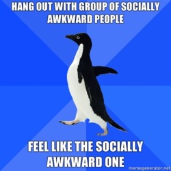 Socially Awkward Penguin.