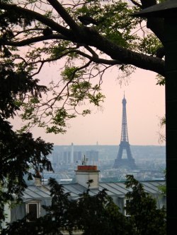 newsweek-paris-france:  The Eiffel Tower at dusk, seen from among