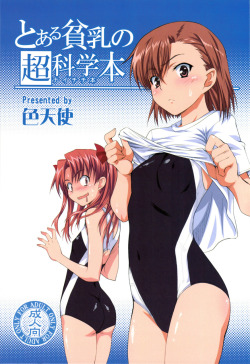 A Certain Flat-Chested Railgun Book by Irotenshi To aru Kagaku