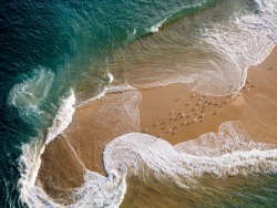 thegirlsoul:  Top view of how the waves wash off the shore…