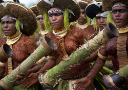 adsertoris:  Suli Muli Enga women - Papua New Guinea (by Eric Lafforgue) Suli Muli tribe woman, from Enga. They wear some giant hat made of moss and fresh herbs. So the hat will be used just one ceremony, and they will disappear…The men wear the same