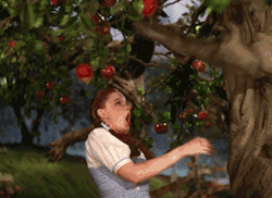  she shouldn’t be touching his apples! 
