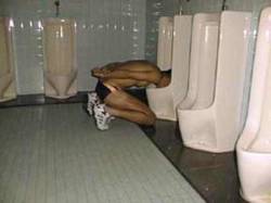 Boys Who Love Toilets
