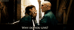  Voldemort: Por que você vive? Harry: Porque eu tenho algo que