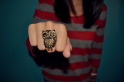 berryjade:  Owl Ring by brennafalz! on Flickr.   Sexy :D