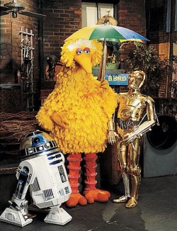 sesamestreet:  May the 4th B with you.  B, as in “Big Bird.”