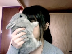 o-ishiii:  i love this picture ‘cause the bunny looks kind