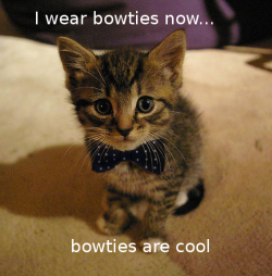 kittencheese:  BOW TIES ARE FOREVER THE GREATEST 