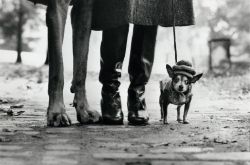 minusmanhattan:  Felix, Gladys, and Rover. New York. 1974. By