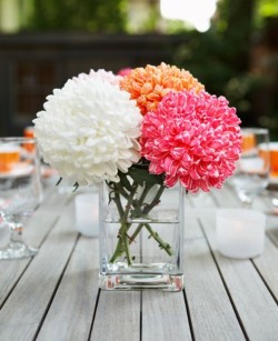 b-a-mboo:  I want these on my table.x 