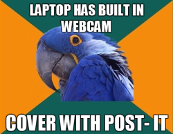 ohfuckyeahmemes:  Paranoid Parrot http://lostguru.tumblr.com/