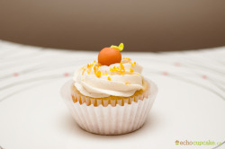 lindsayecho:  Creamsicle cupcakes with cream cheese frosting.